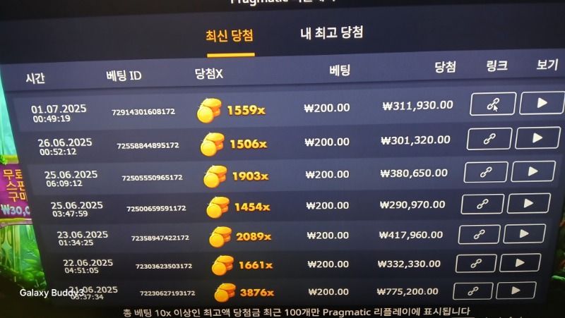 멀린1559배