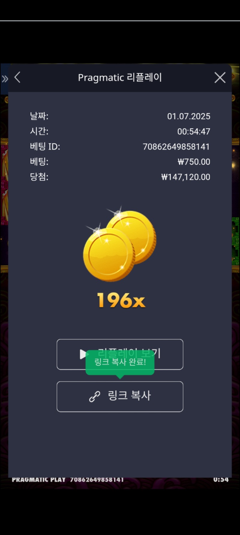 토라매 196배 토라매 196배