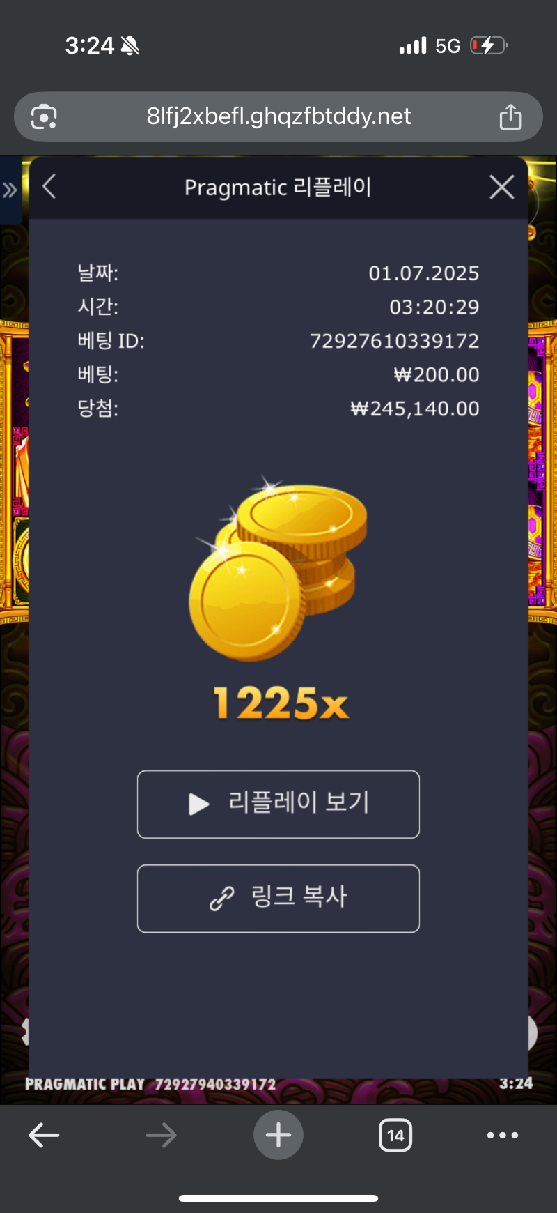 토라메 1225배