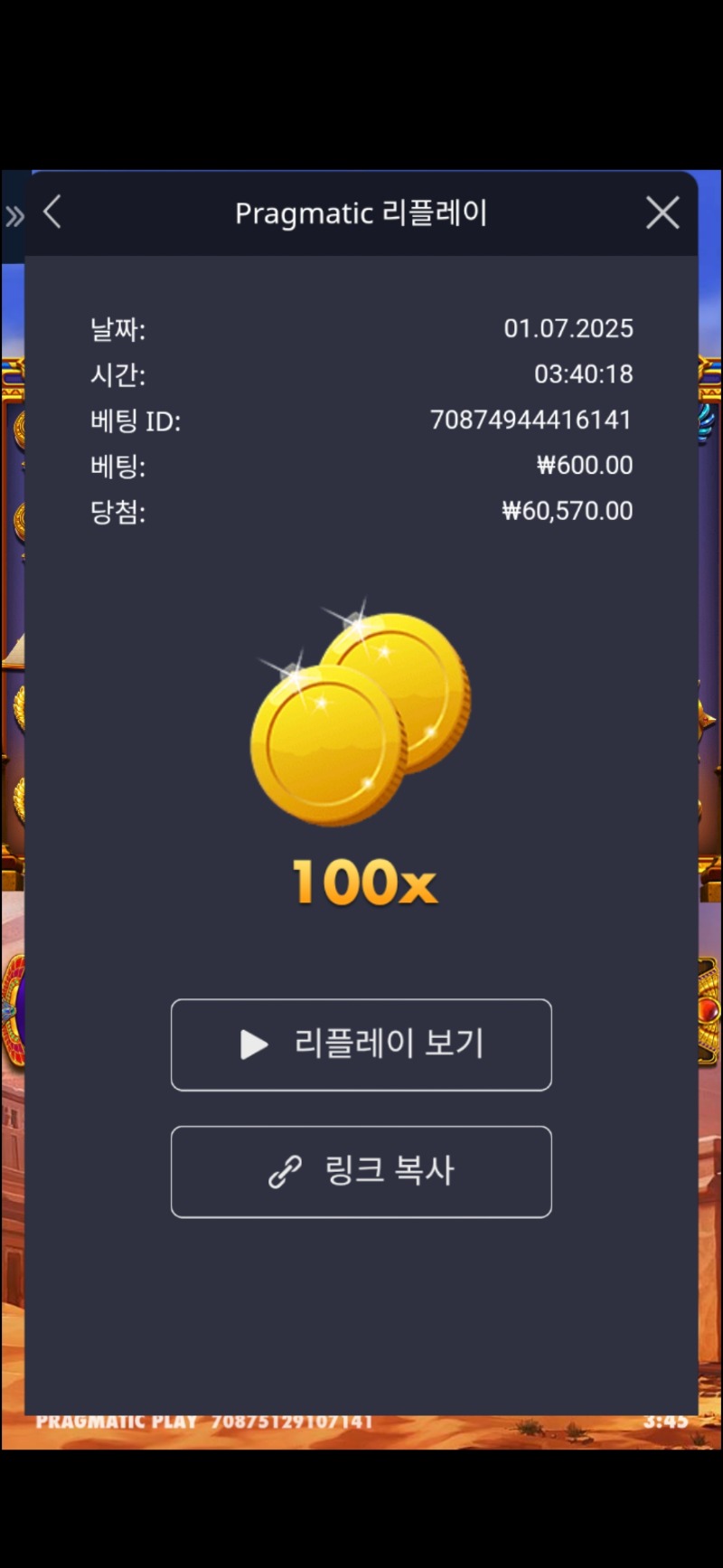 피라미드보난자 100배
