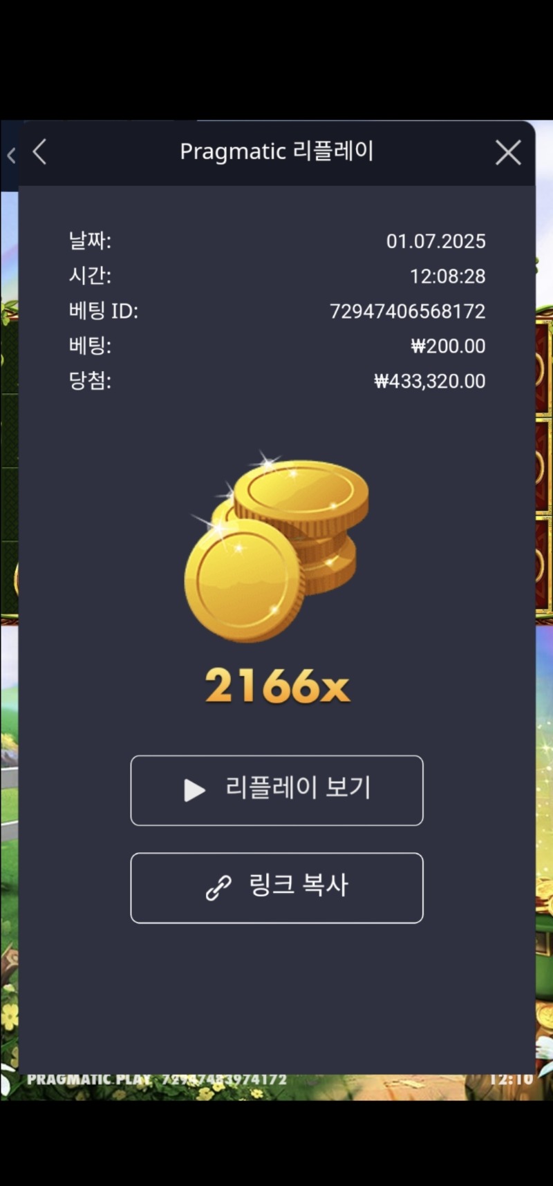 와일드와일드리치2310배
