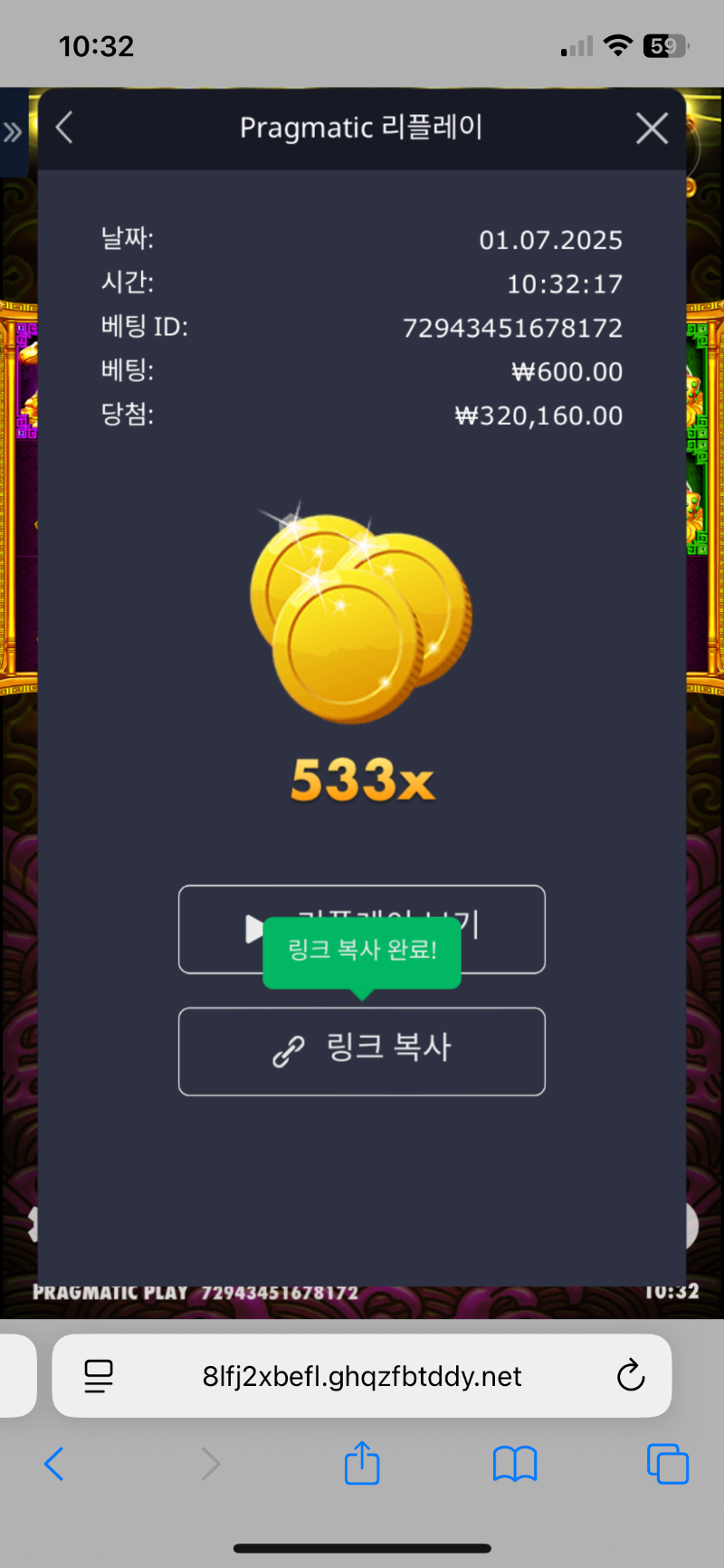 토라메 533배