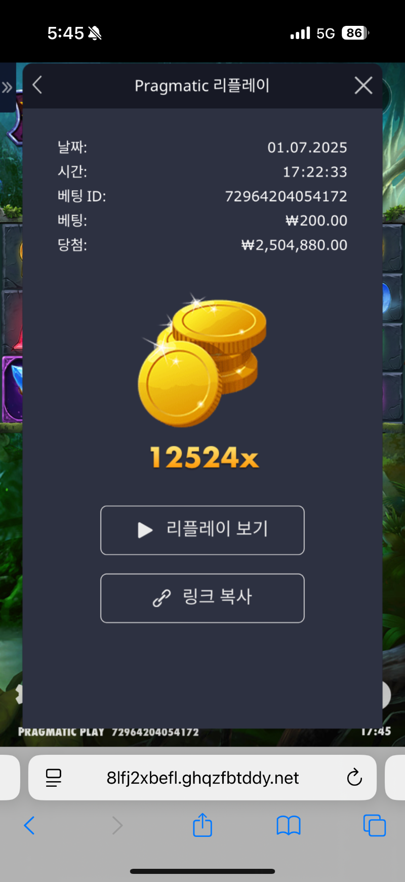 멀린 12524배