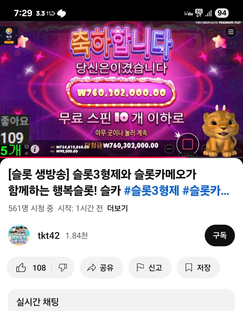 사자님 슈천~!!!