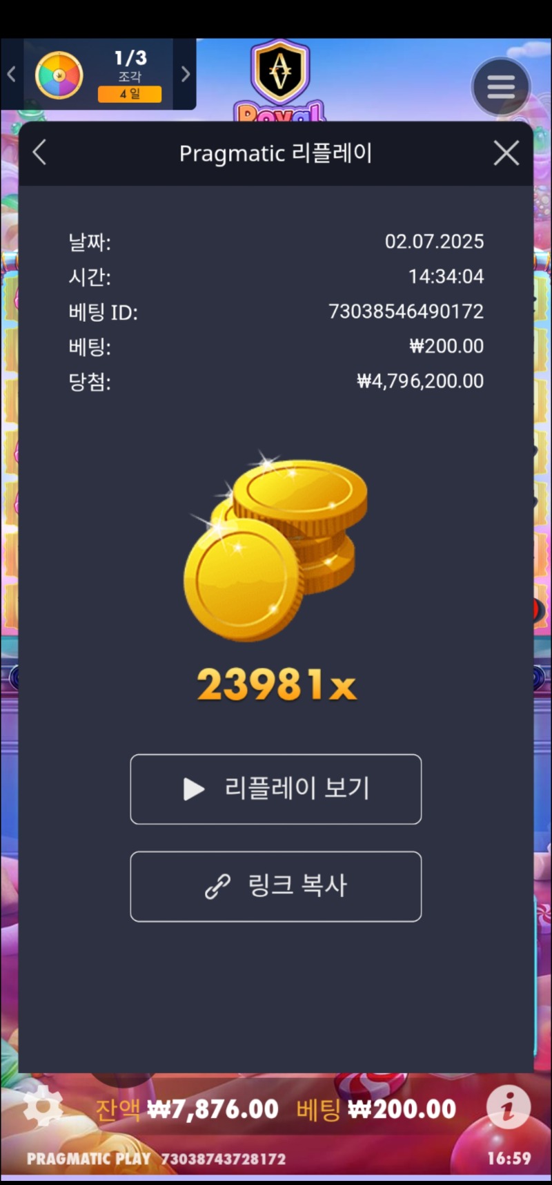 로알슈천 23981