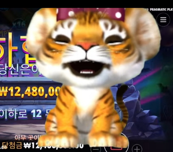 사자엄 2년전 ㅎㅎㅎ