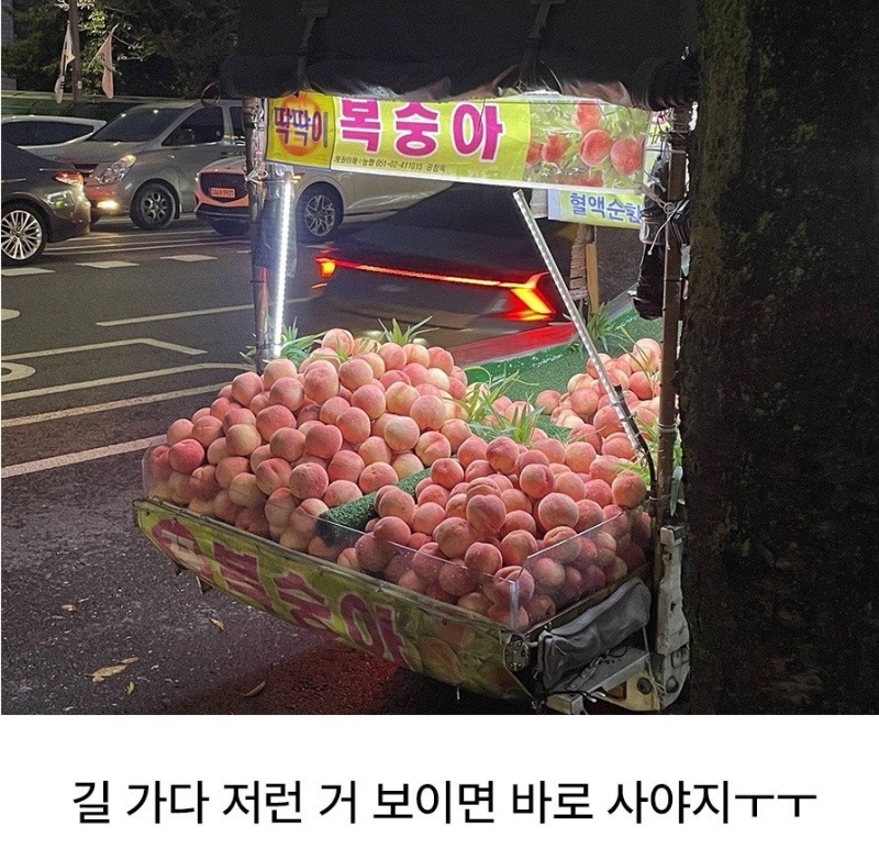 참을 수 없게 생긴 복숭아 트럭