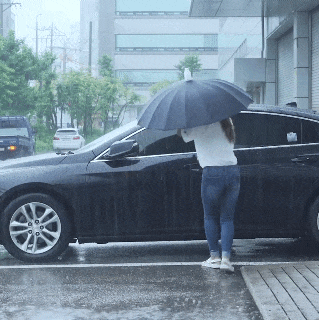 신박한 우산