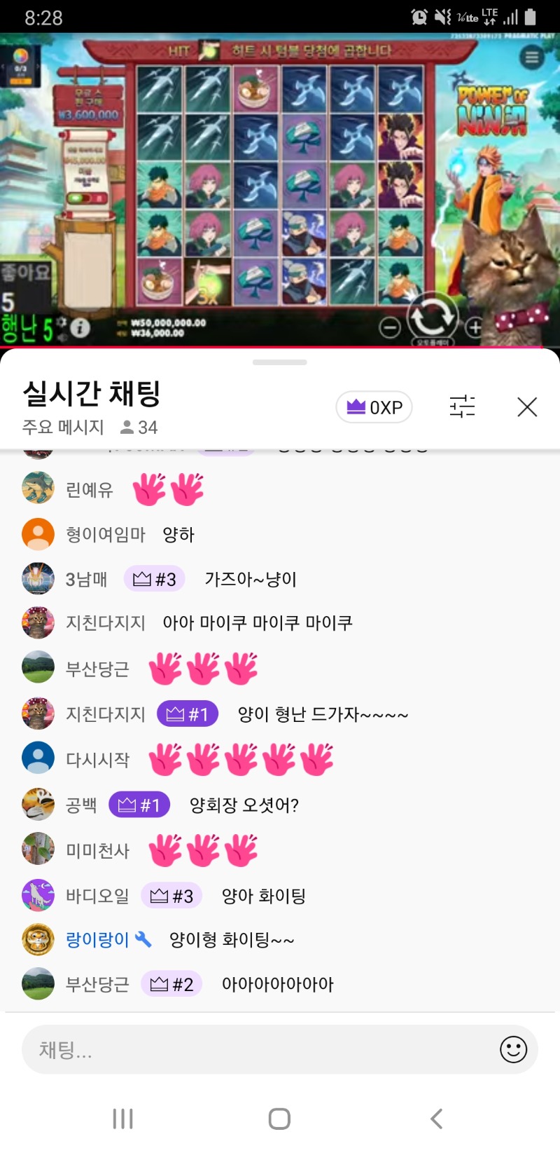 두둥!! 두둥!!