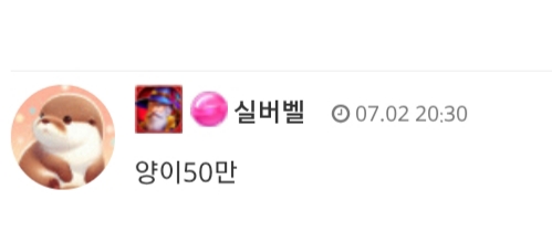 양이.사자 수고했어~~~
