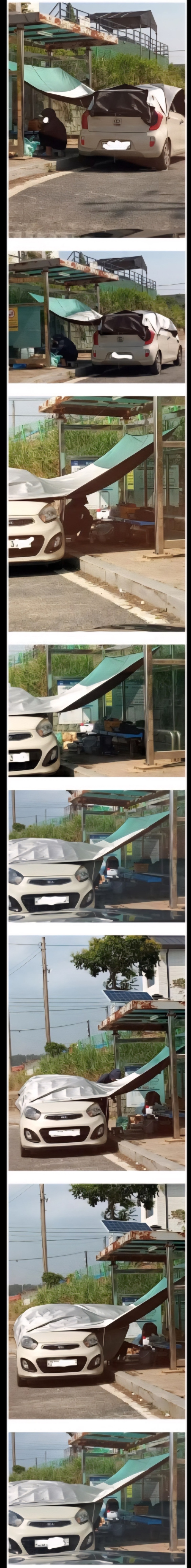 개진상 캠핑족 근황