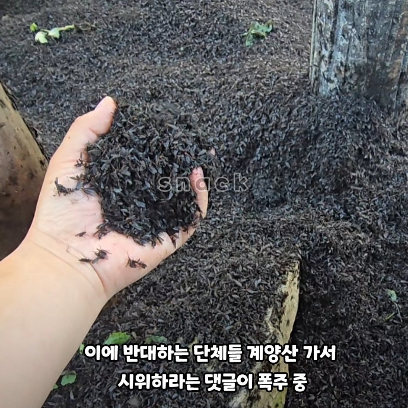 설마했던 시위대 등장