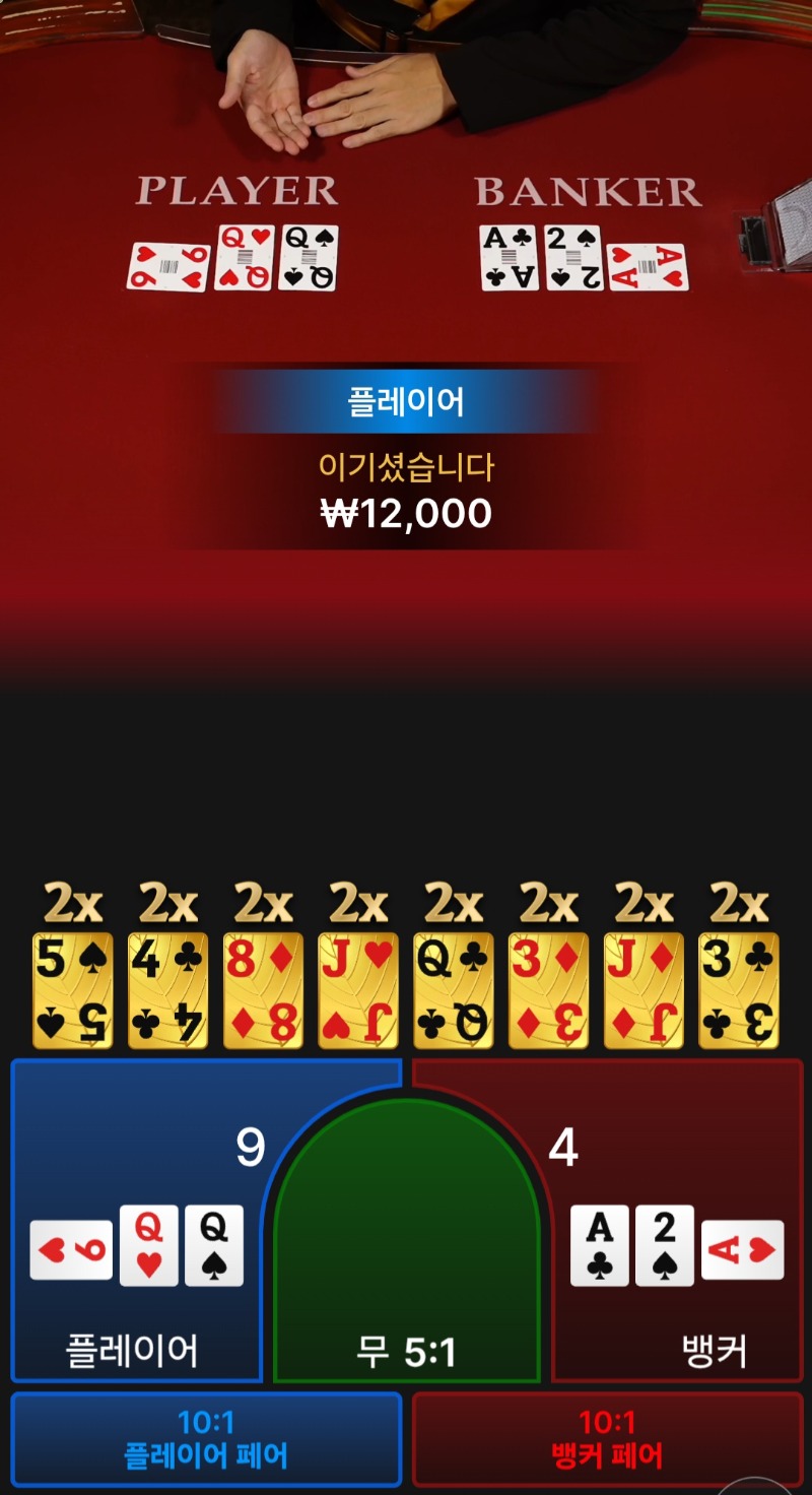 시안바카라~