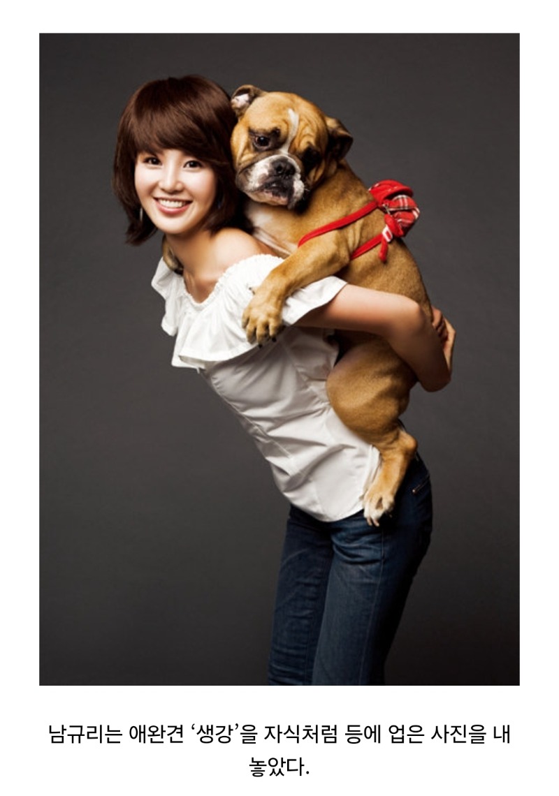 굿몽~연예인의 애완동물