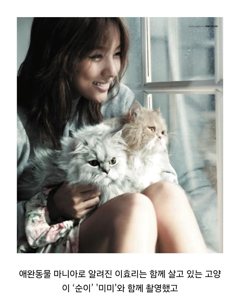 굿몽~연예인의 애완동물