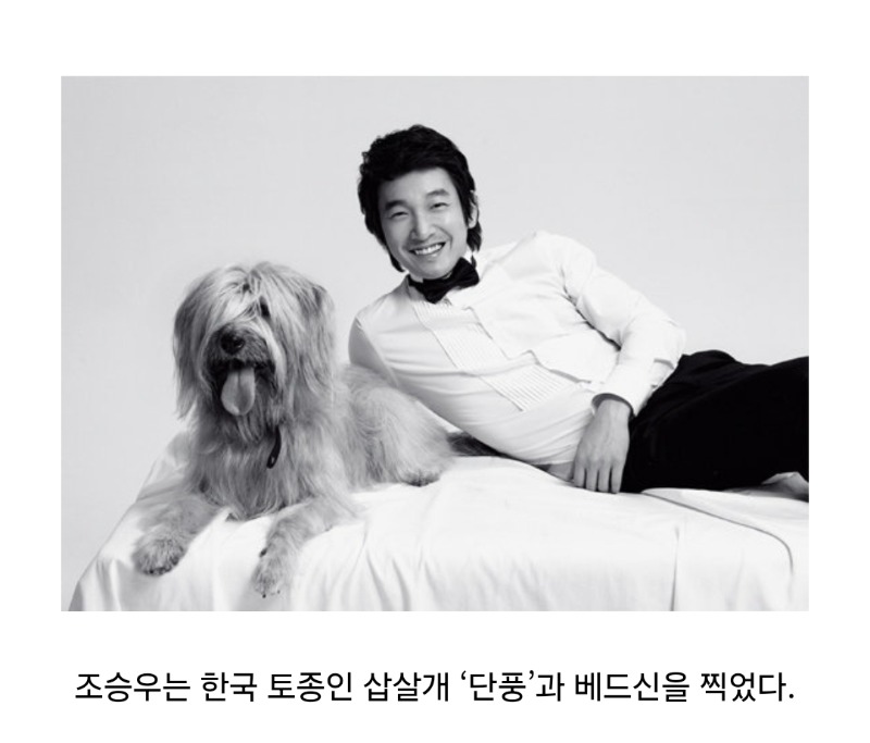 굿몽~연예인의 애완동물
