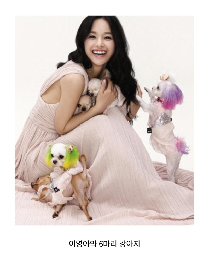 굿몽~연예인의 애완동물