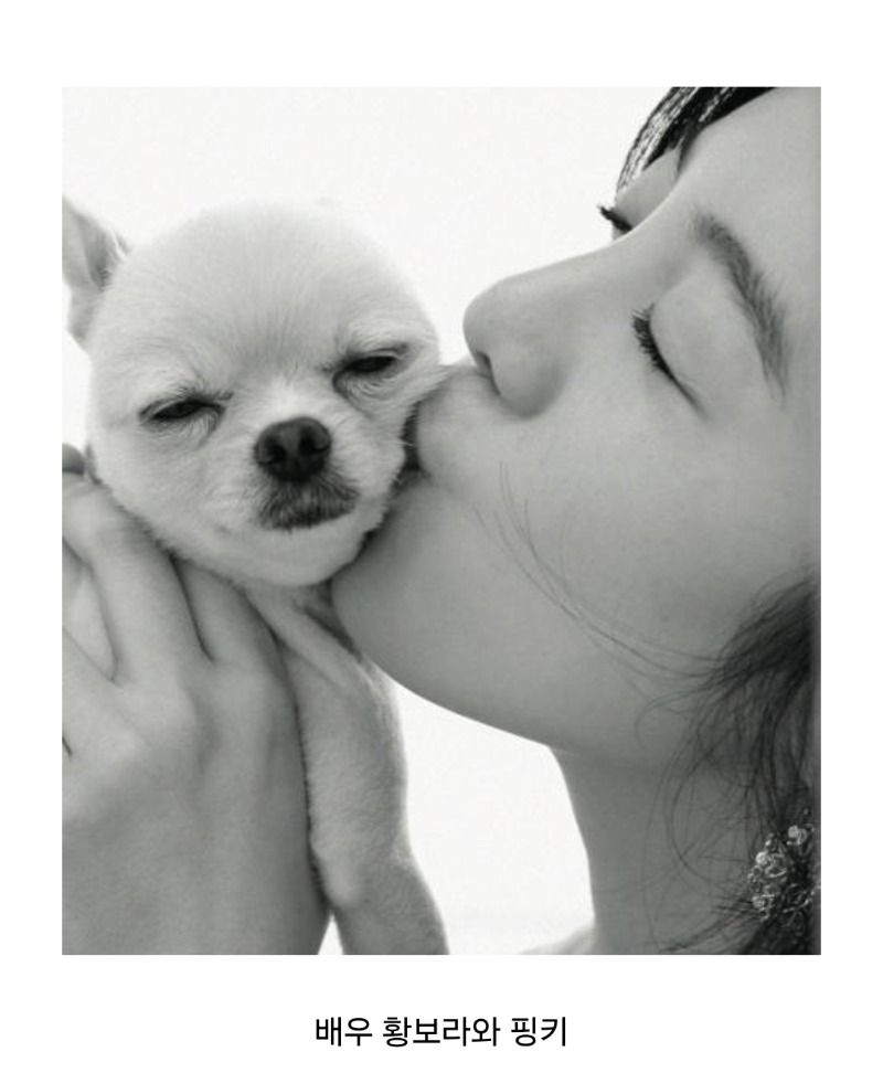 굿몽~연예인의 애완동물