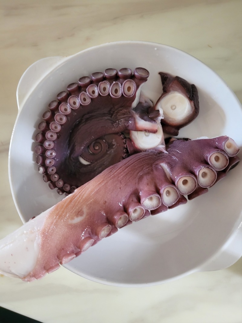 50만원짜리 대왕문어