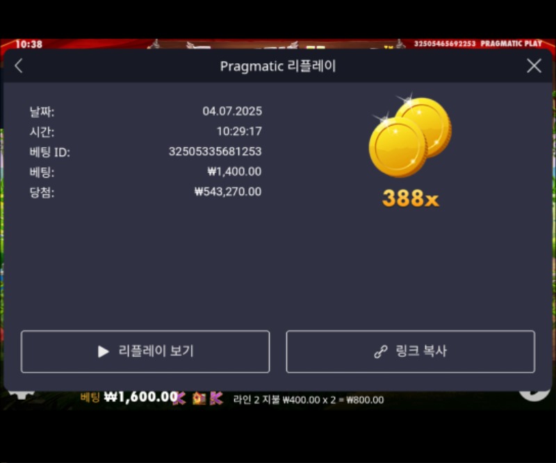 닭집 388배