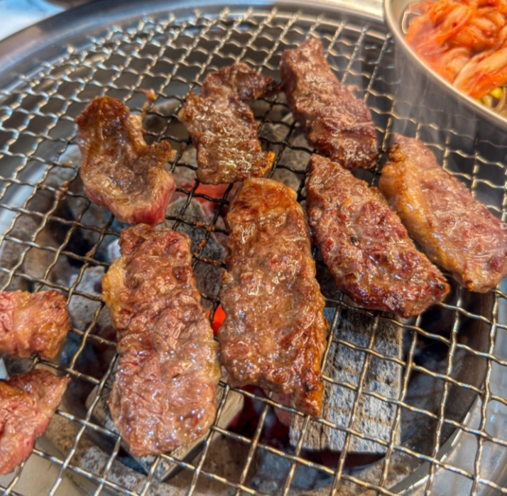 양이가 쏜다~~~~