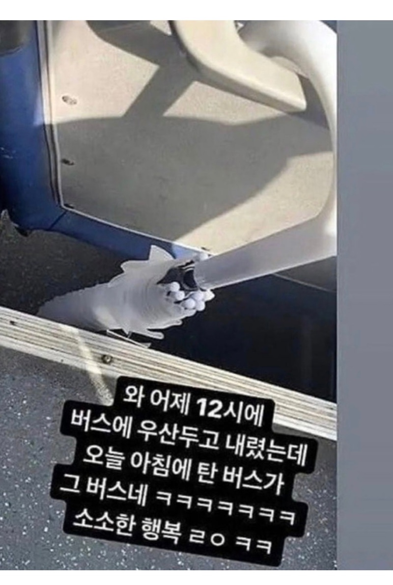 같은 실수를 반복한 우산 주인