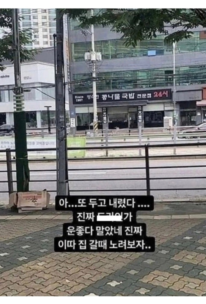 같은 실수를 반복한 우산 주인