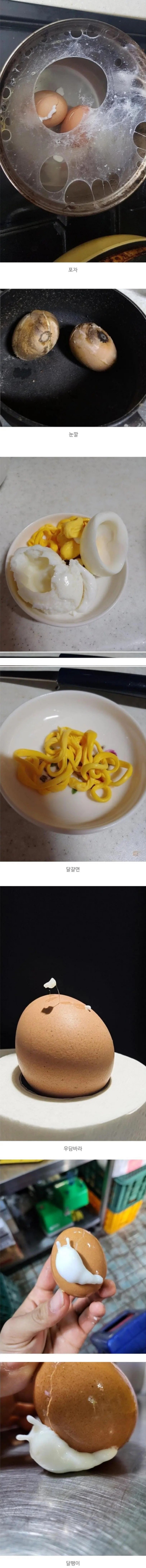 망한 계란삶기 대회