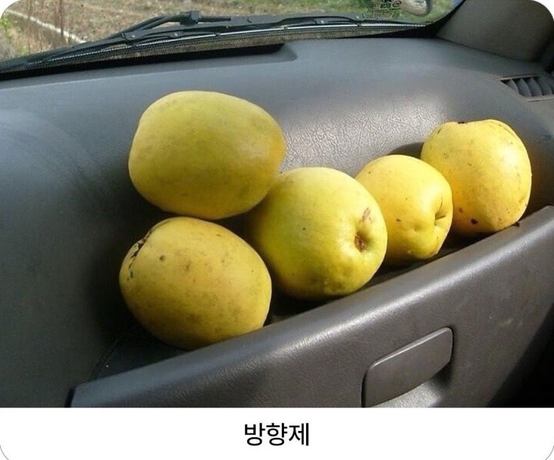 그 시절 차량 인테리어템