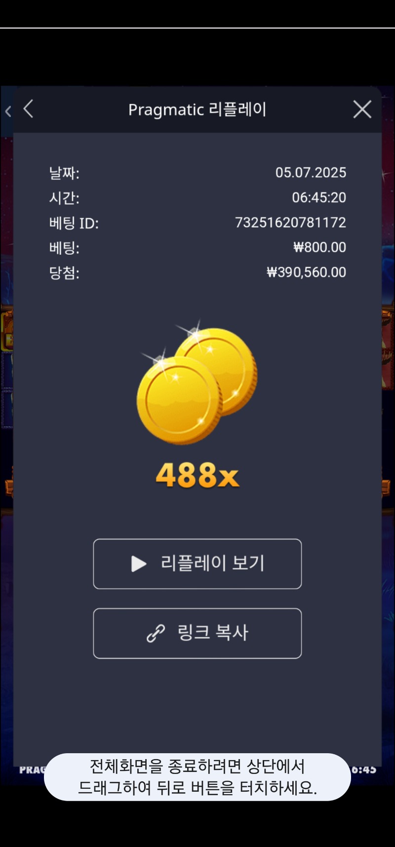 버메가 488배