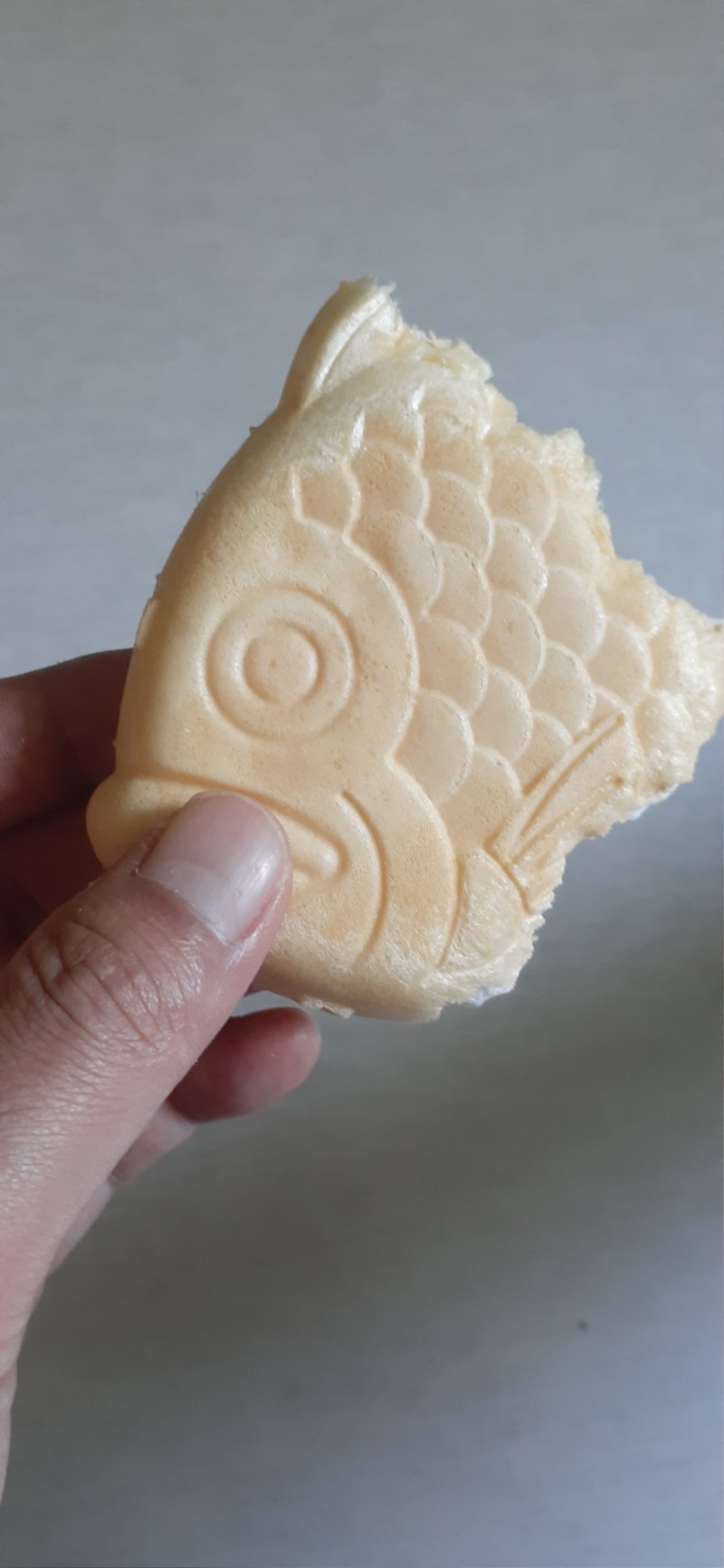 오vs토 어딜까요?
