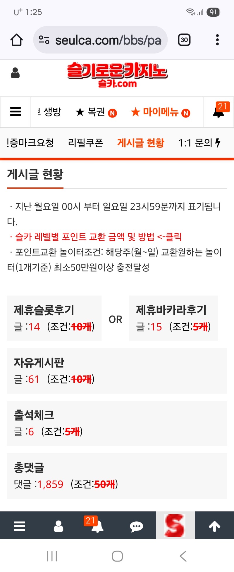 이번주 활동~~