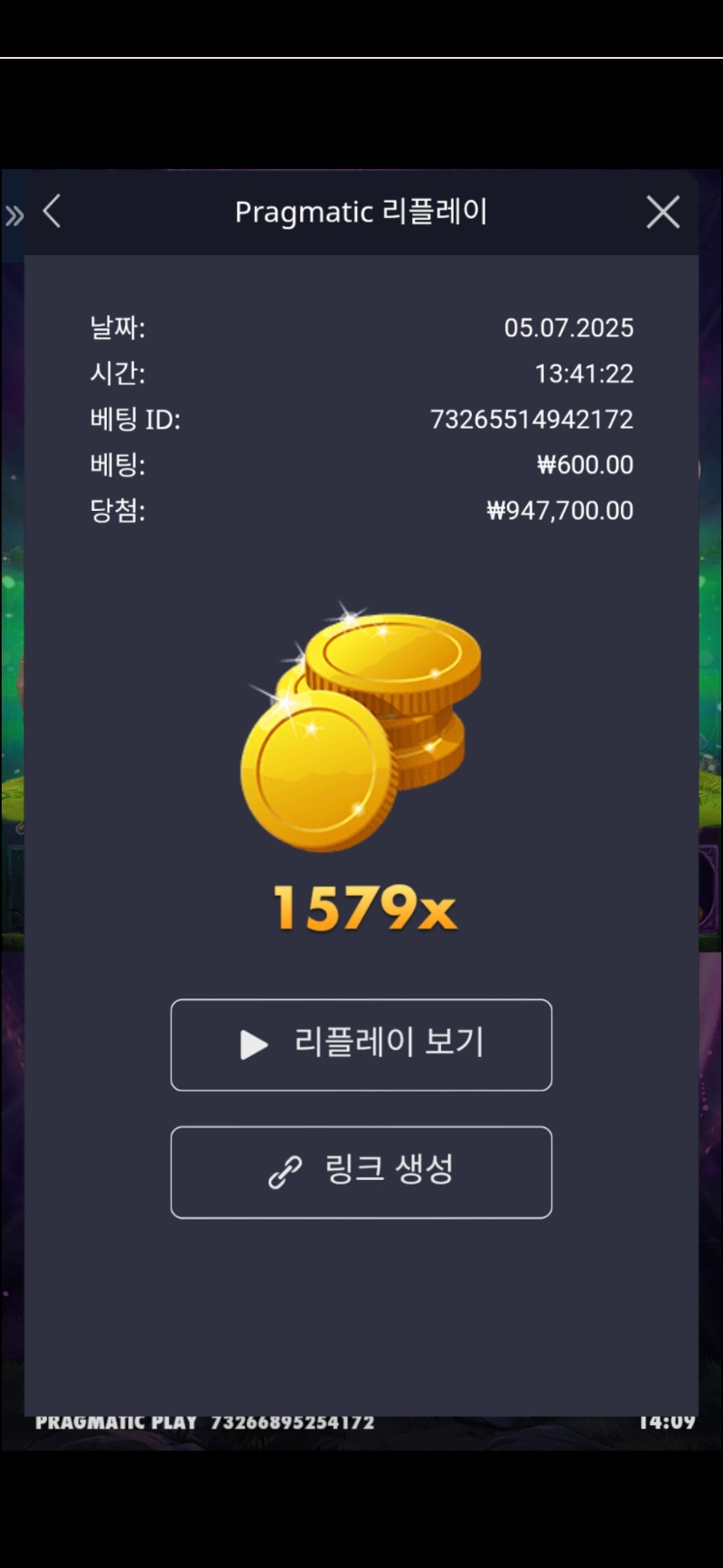 멀린1579배