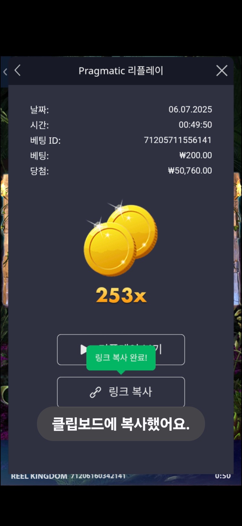 록베가스253배