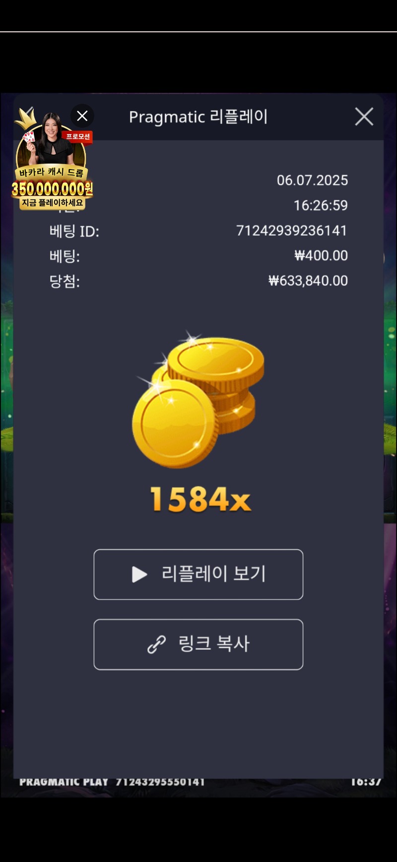 배당왕1584배