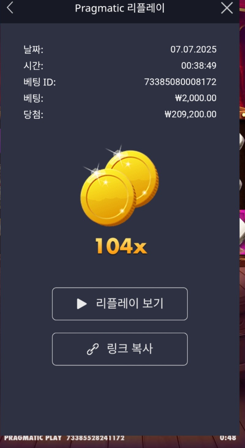 개집 주사위 104배