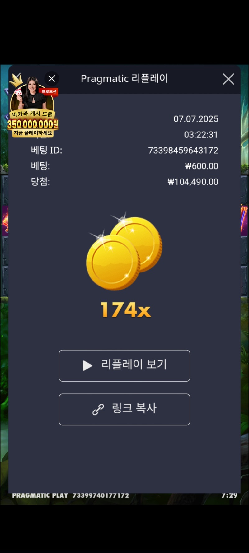 멀린 174배