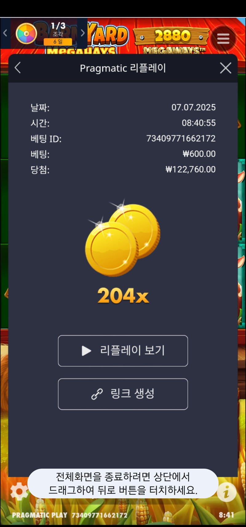 반야드 204배