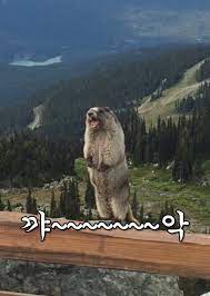 비~~~버~~~ 인사 드립니다 꾸벅!!