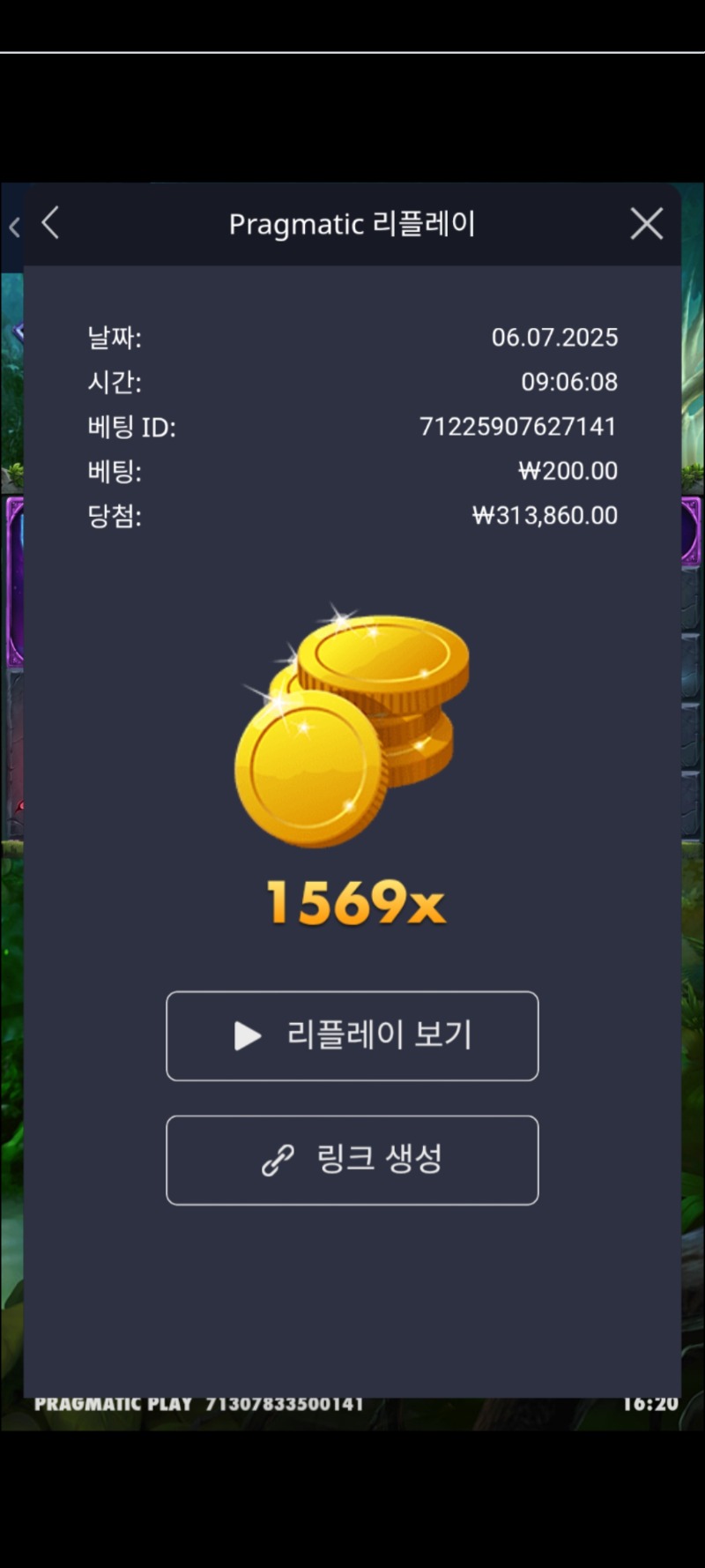 멀린  1569배