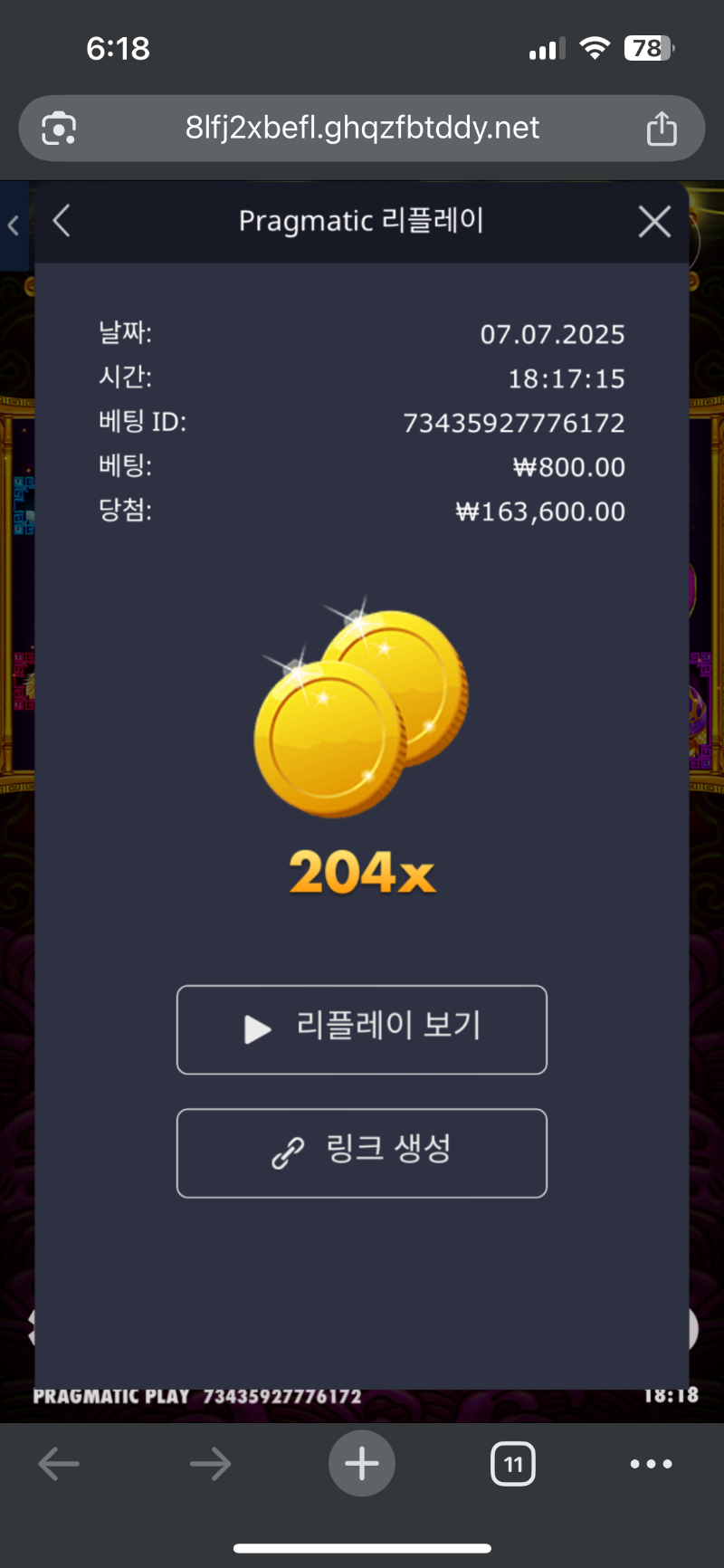 토라메204