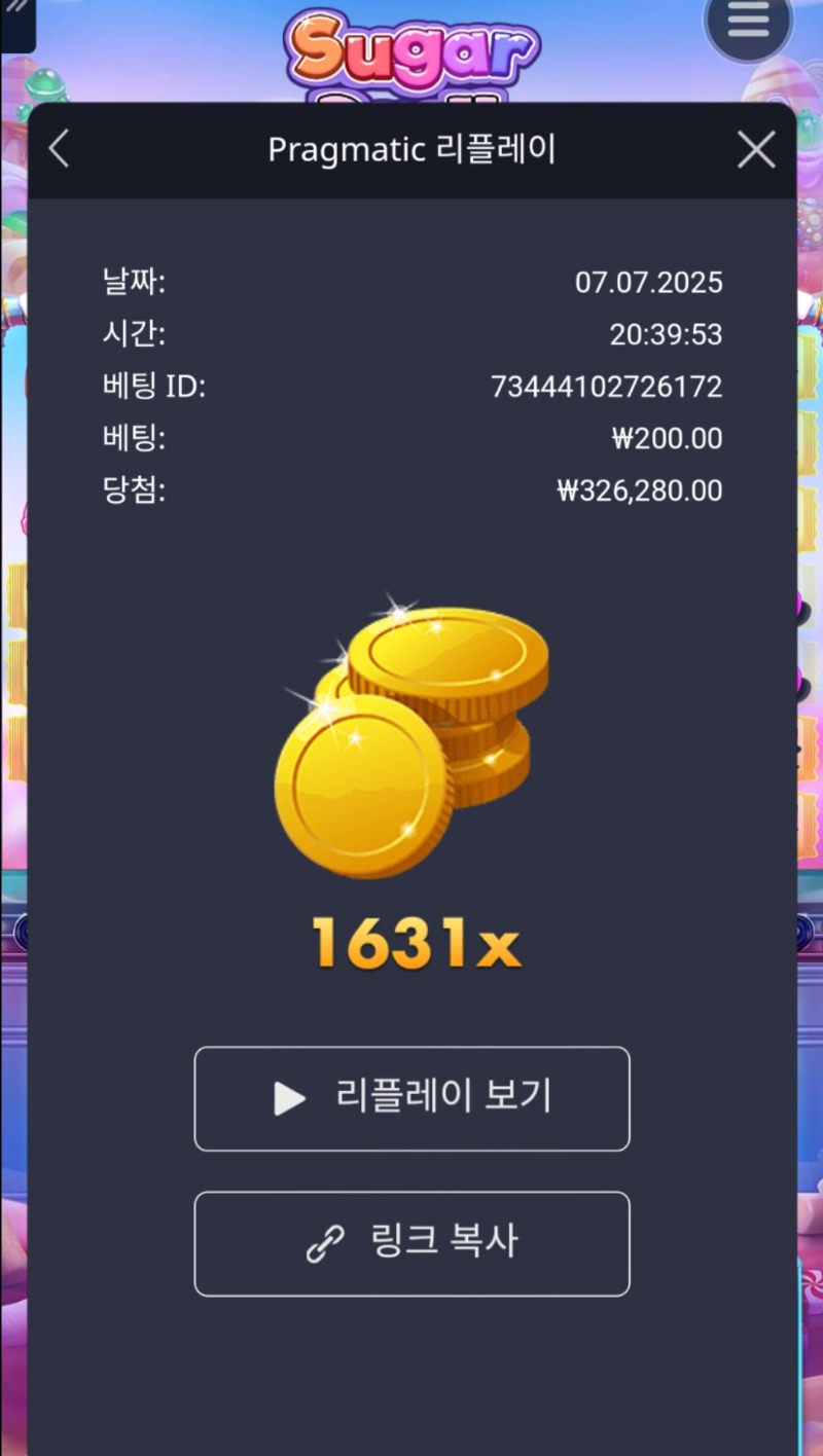 슈가천 1631배