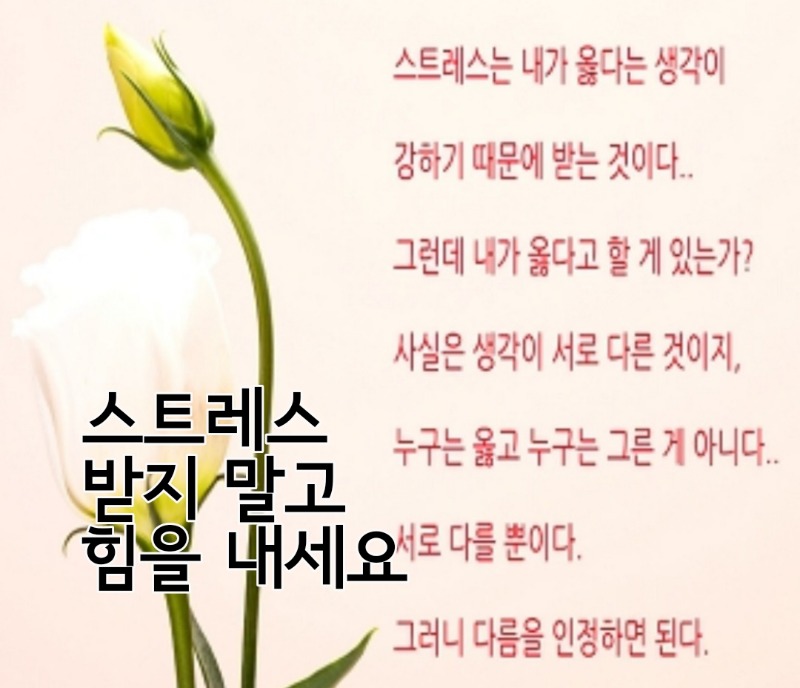출첵인증~