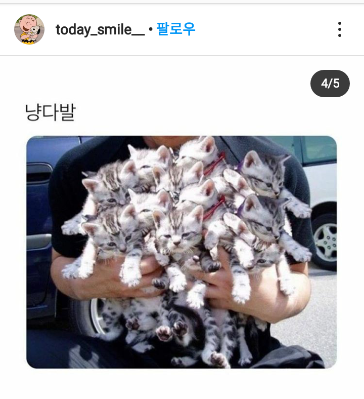 냥아름