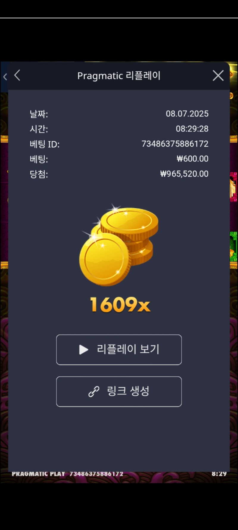 토라메 1609배