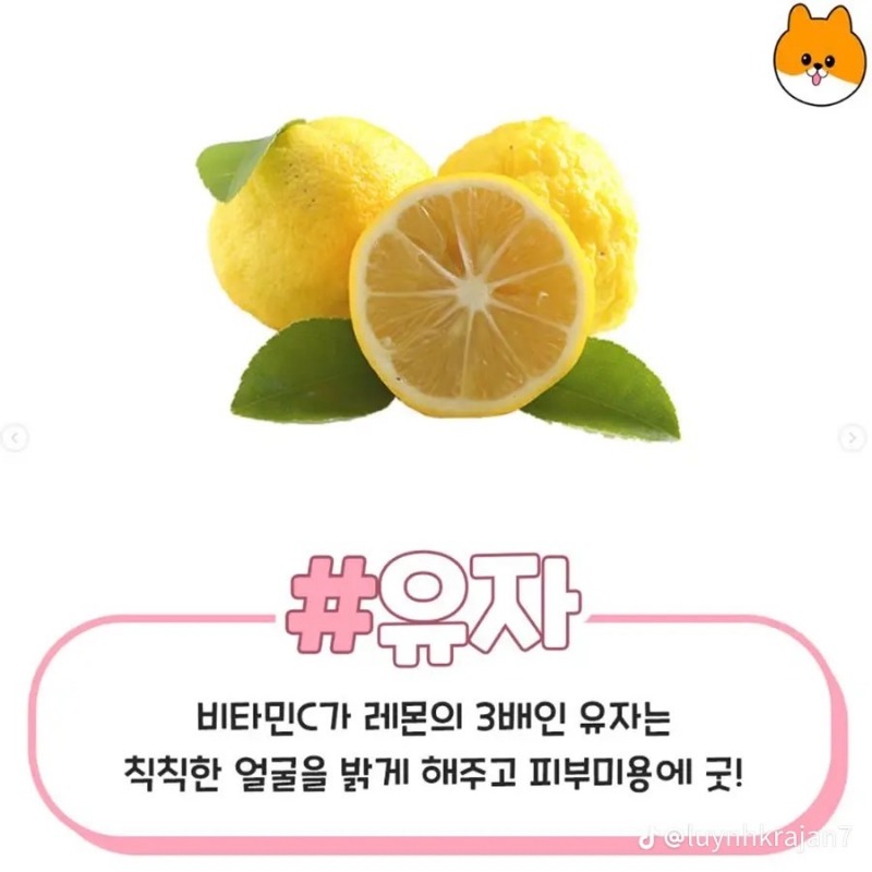 굿몽~예뻐지는 음식