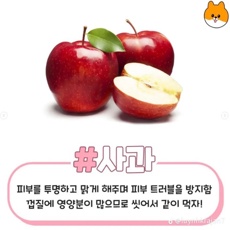 굿몽~예뻐지는 음식