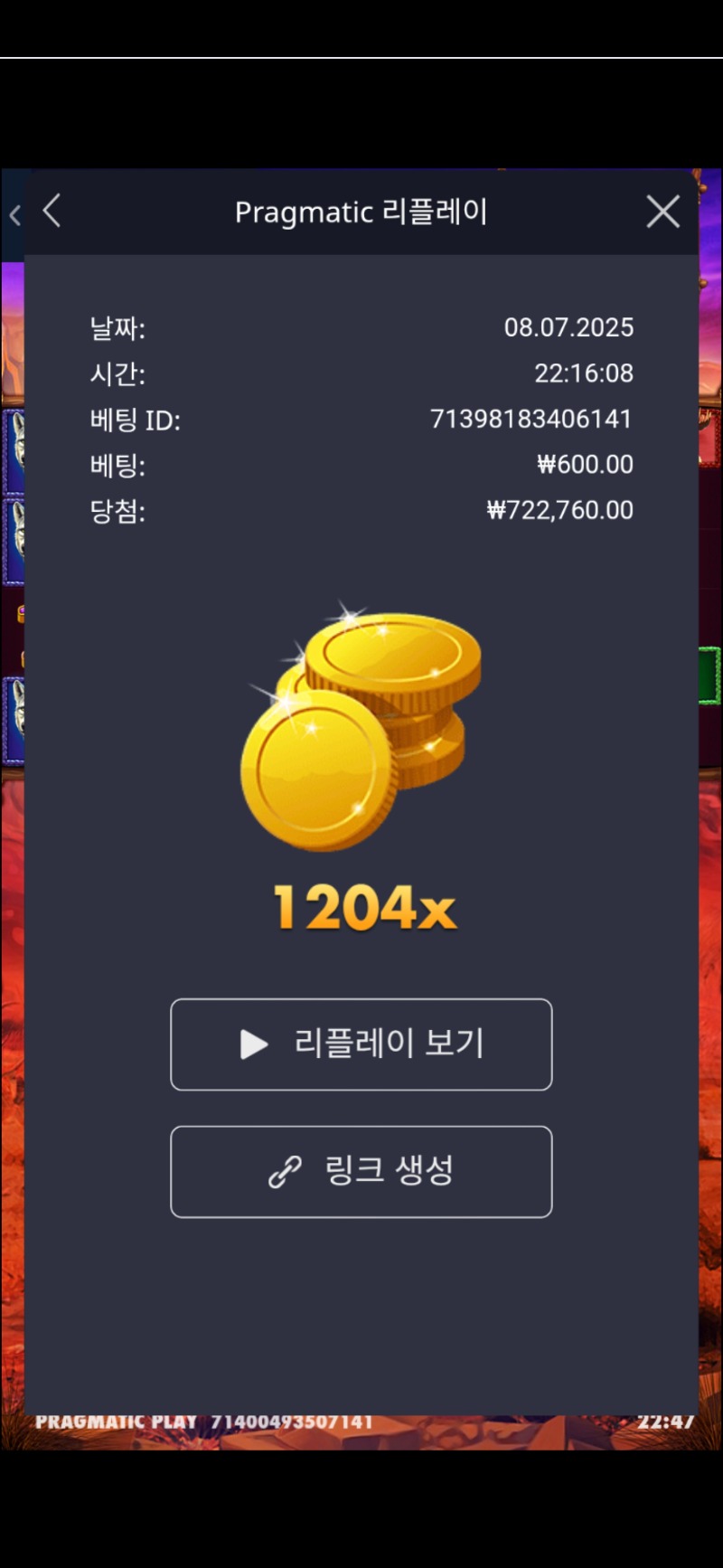 버메가 1204배