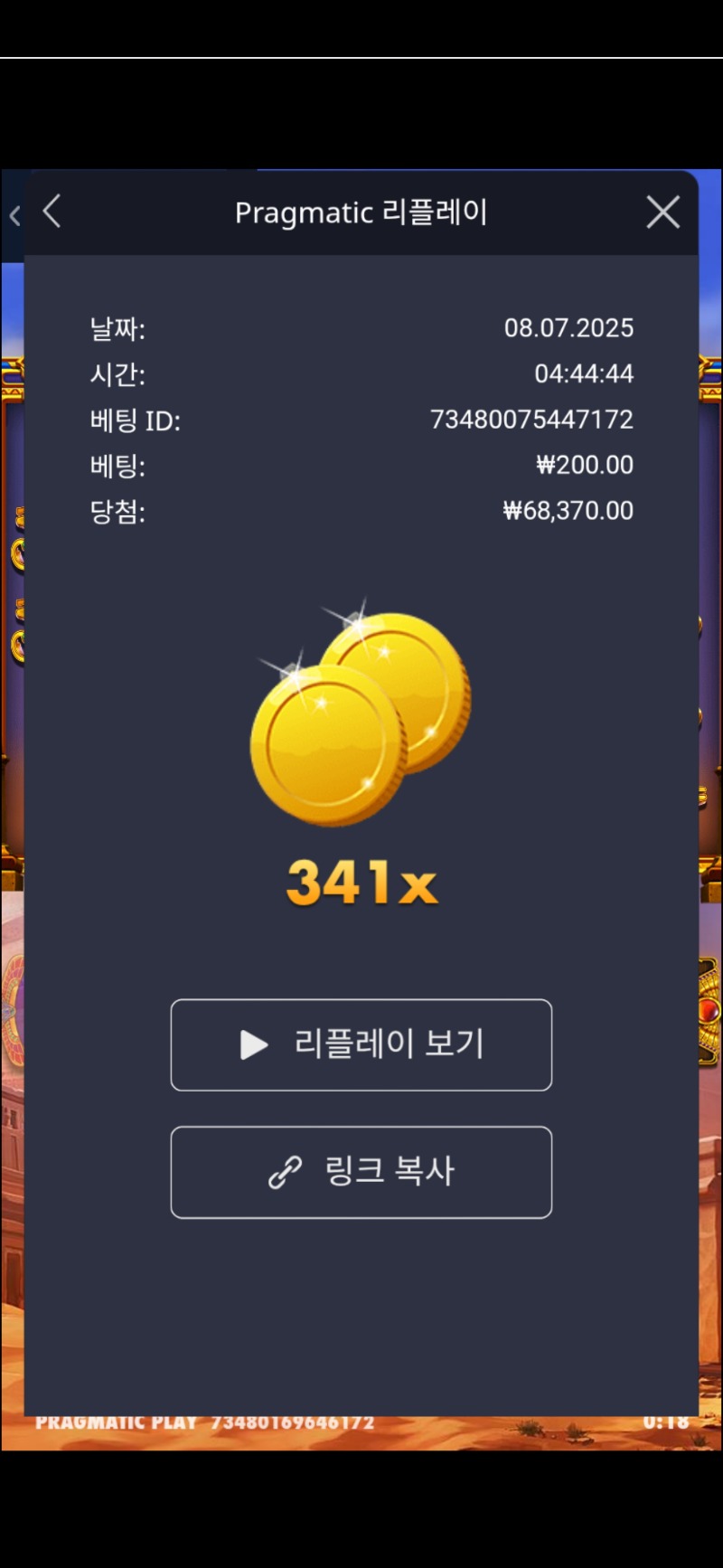 피라미드 보난자 341배