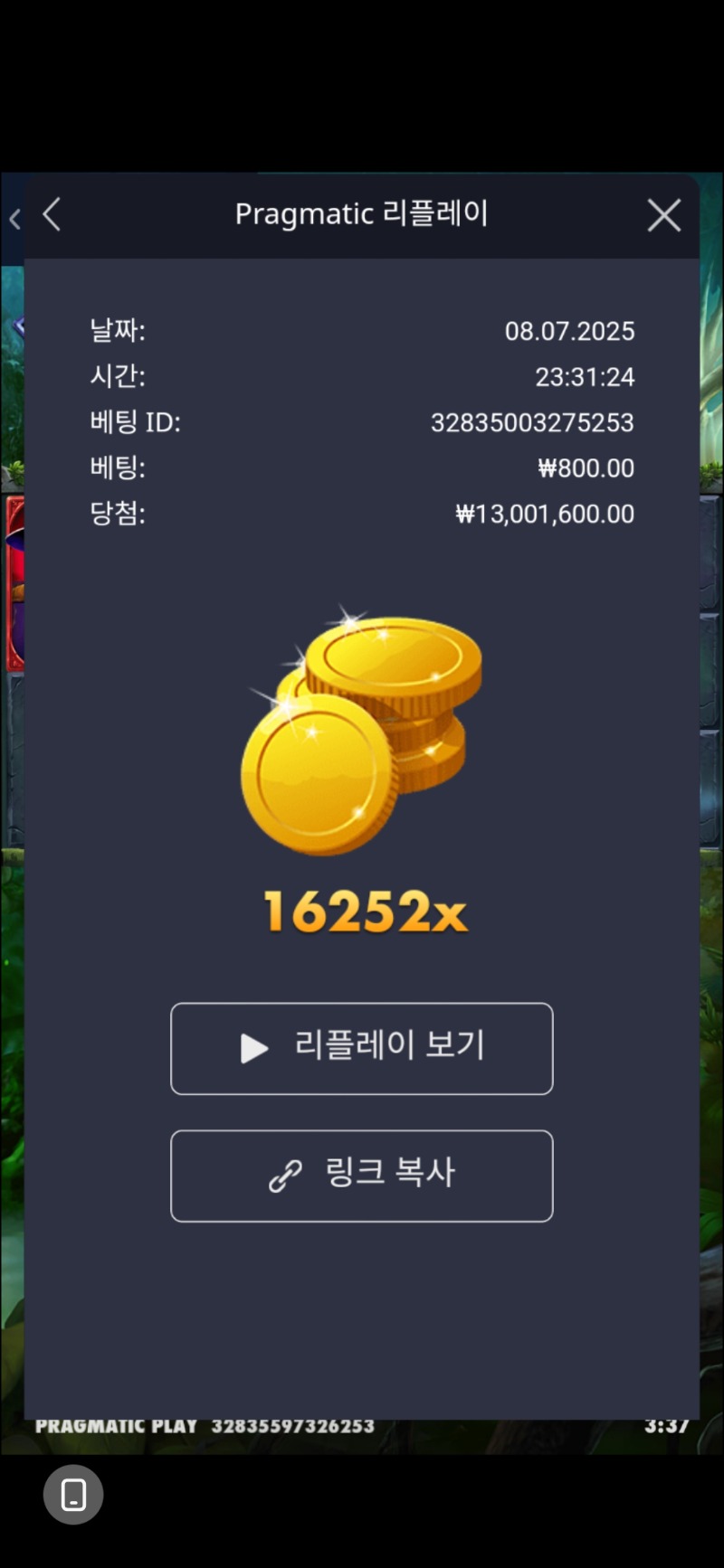 멀린 16252배